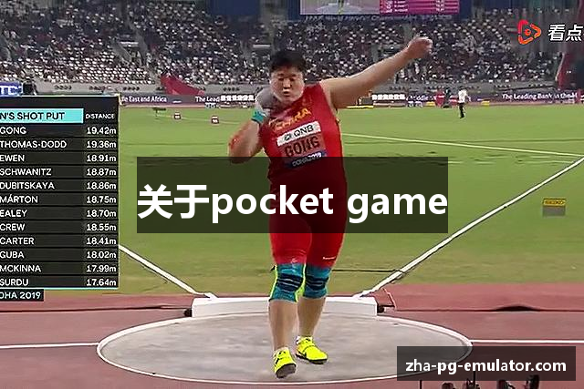 关于pocket game